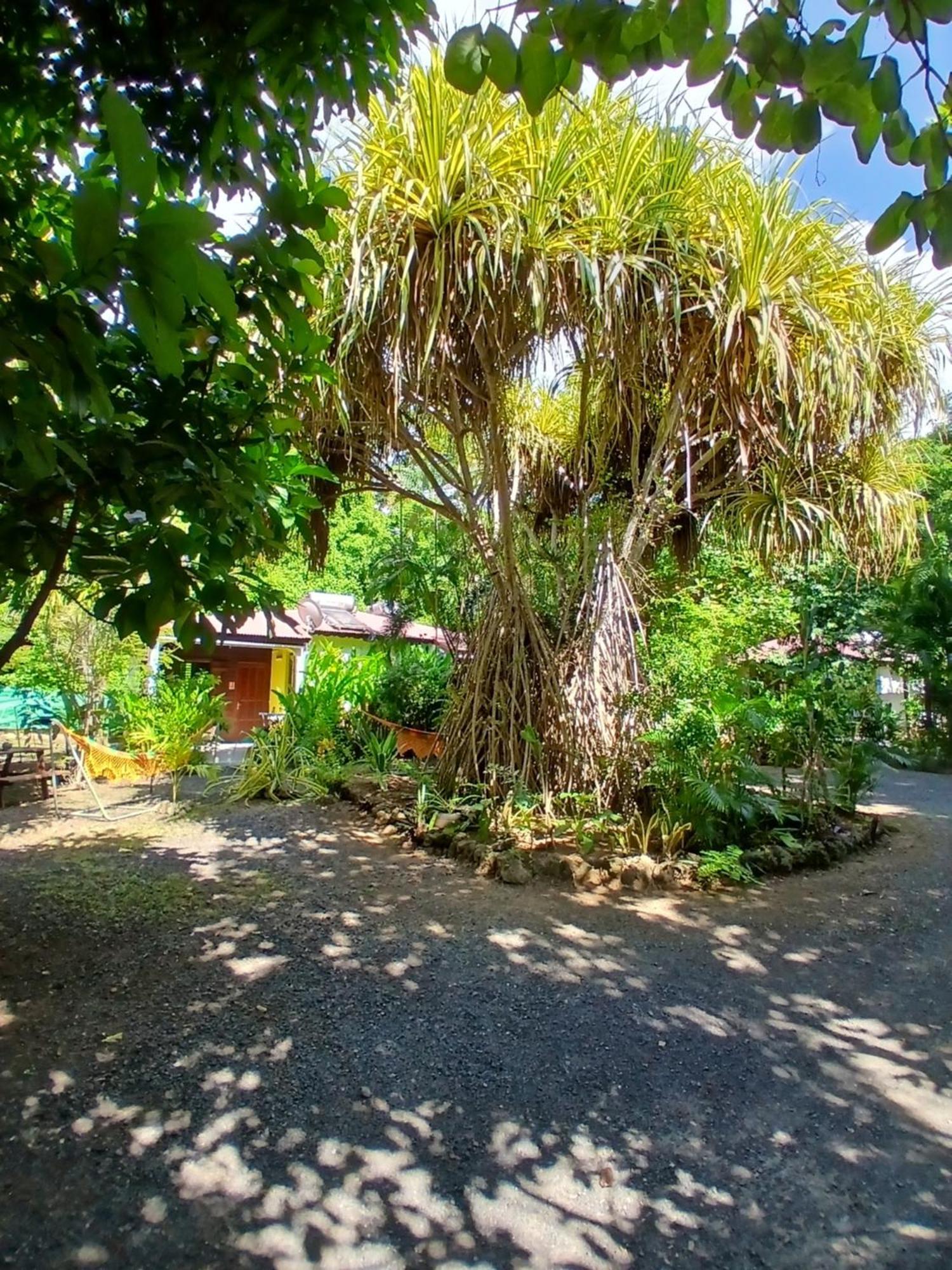 Villa Les Manguiers Otantik à Pointe-Noire Extérieur photo
